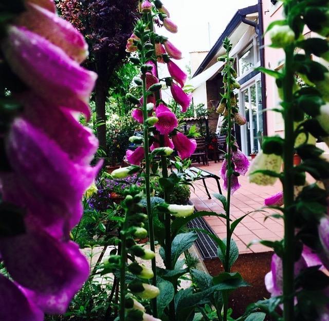 Bed And Breakfast Villa Franca Villafranca di Verona Exteriör bild